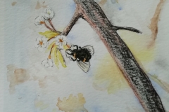 Bee on blossom final